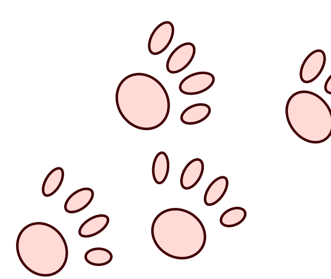 four pink paw prints going across the screen